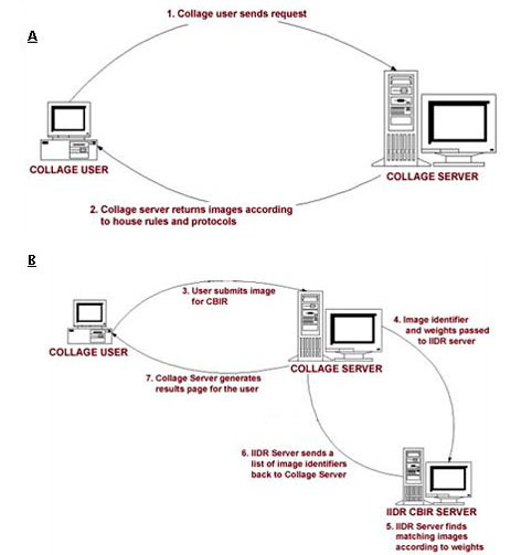 CBIR/Collage system desing