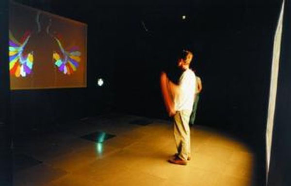 Myron Kreuger, Videoplace