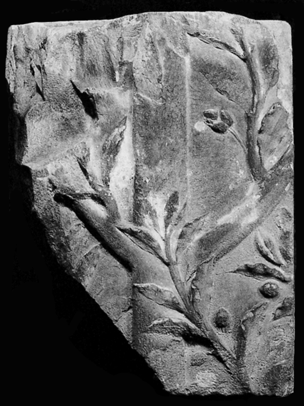 ragmentary relief of laurel from the Mausoleum Augusti