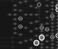 Emma Bevan and Aleksei Kudikov 2010: A timeline for the Museum of Domestic Design and Architecture at Middlesex University (detail)